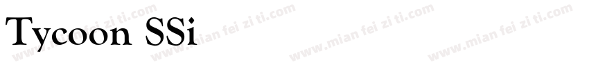 Tycoon SSi Bold Italic Old Style Figures字体转换